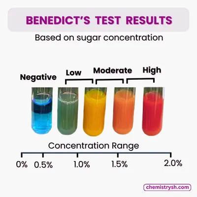 <p>Used to test for monosaccharides. </p>