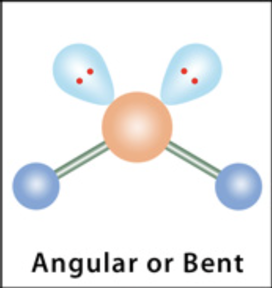 <p>Bent or Angular </p>
