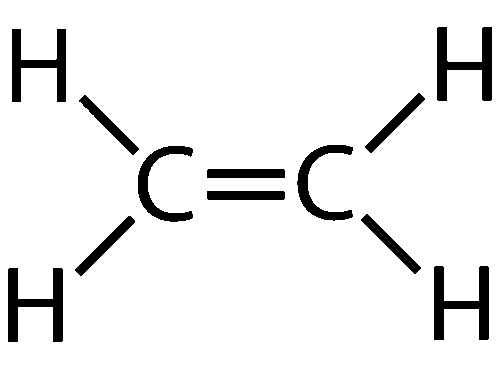 <p>carbon-carbon double bond; suffix -ene</p>