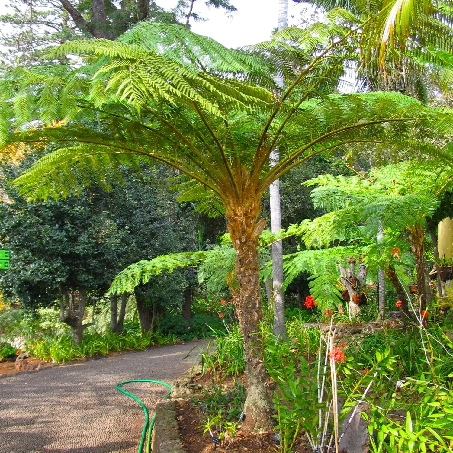 <p>Scientific Name and Common name</p>