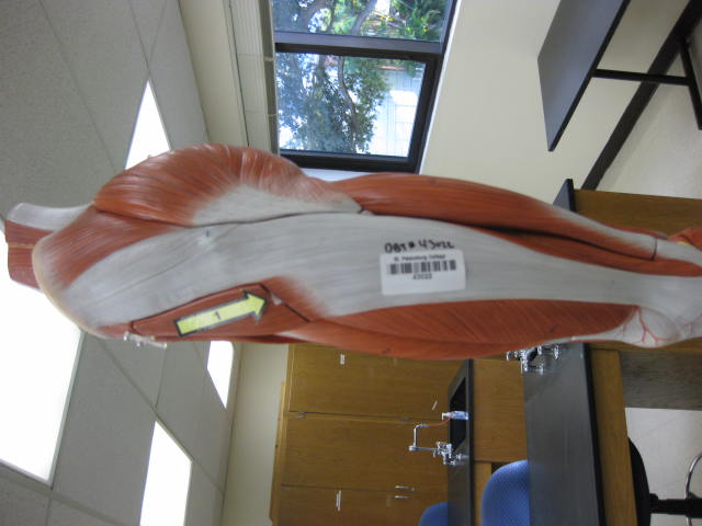 <p>What is at #1?</p>