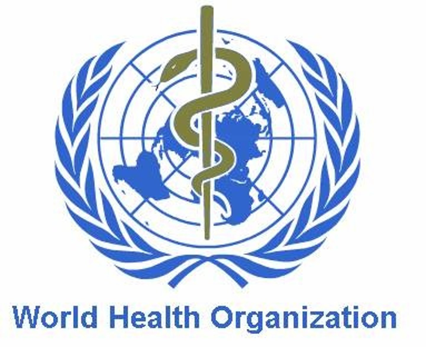 <p>World Health Organization</p>