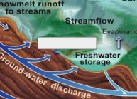 <p>The Water Cycle: Name this step</p>