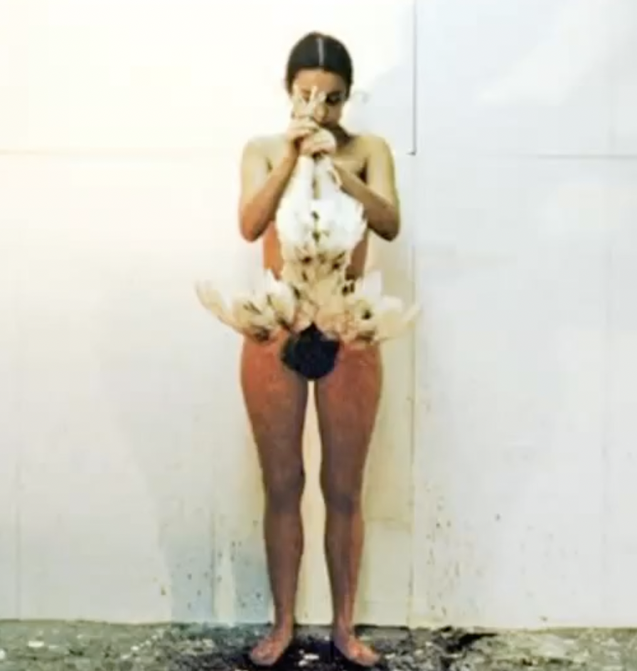 <ol start="1972"><li><p>Performance using animal blood; addresses violence, ritual, and female identity.</p></li></ol><p></p>