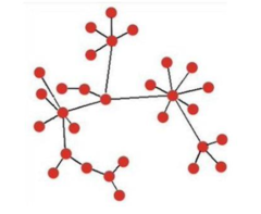 <p>A network in which a few nodes have many links and most have few.</p>