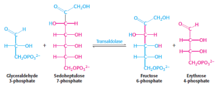 <p>6th step of penthose phosphate pathway/<span style="background-color: transparent;">hexose monophosphate shunt/phosphogluconate pathway</span></p><p>catalysed by <span style="background-color: transparent;"><strong>transaldolase</strong></span></p>