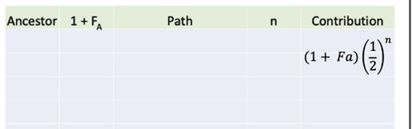 <p>1. Confirm or rule out direct ancestry for the two individuals</p><p>2. Identify common ancestor(s)</p><p>3. Establish inbreeding status of common ancestor(s)</p><p>4. Identify pathways of relatedness and the record the number of meiotic segregations (n) (any anc can only appear once)</p><p>5. Calculate pathway contributions</p><p>6. Square each pathway`s contribution (for standard error)</p><p>7. Sum pathway contributions= additive covariance and put in numerator of relationship coefficient</p><p>8. For each animal in the relationship coefficient, calculate 1+Fa and put the square root of their product in the denominator of the relationship coefficient</p><p>9. Calculate the standard error of the relationship coefficient as the square root of the sum of the squared contributions divided by 2 times the number of haploid chromosomes</p>