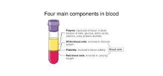 <p>What are the four main components of blood?</p>