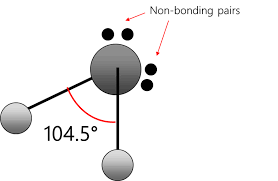 <p>2 bonding pairs</p><p>2 nonbonding pairs</p><p>109.5 degrees or 104.5</p>