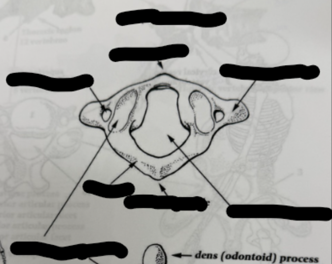 <p>what is this?</p>