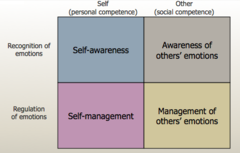 <p>- Salovey and Mayer's term for the ability</p><p>to understand and regulate emotions;</p><p>an important component of effective,</p><p>intelligent behavior.</p><p>- Managing emotional responses in ways that support goals and relationships.</p><p>- is related to social functioning but should not be treated as a single explanation</p><p>for success.</p>