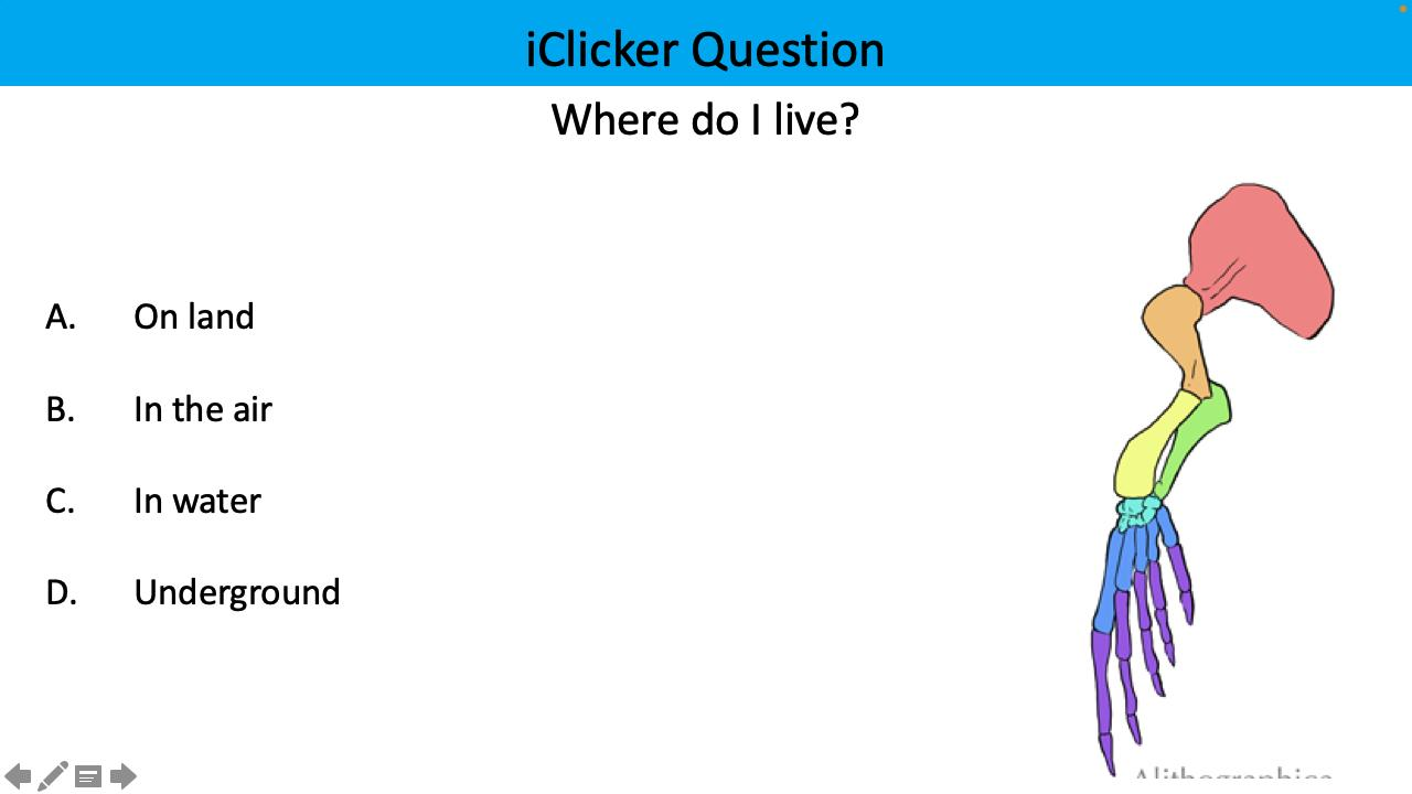 <p>Where do I live?</p>