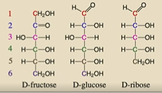 <p>D-fructose, D-glucose, D-ribose</p><p></p>