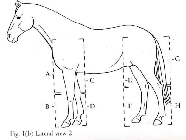 <p>A</p>