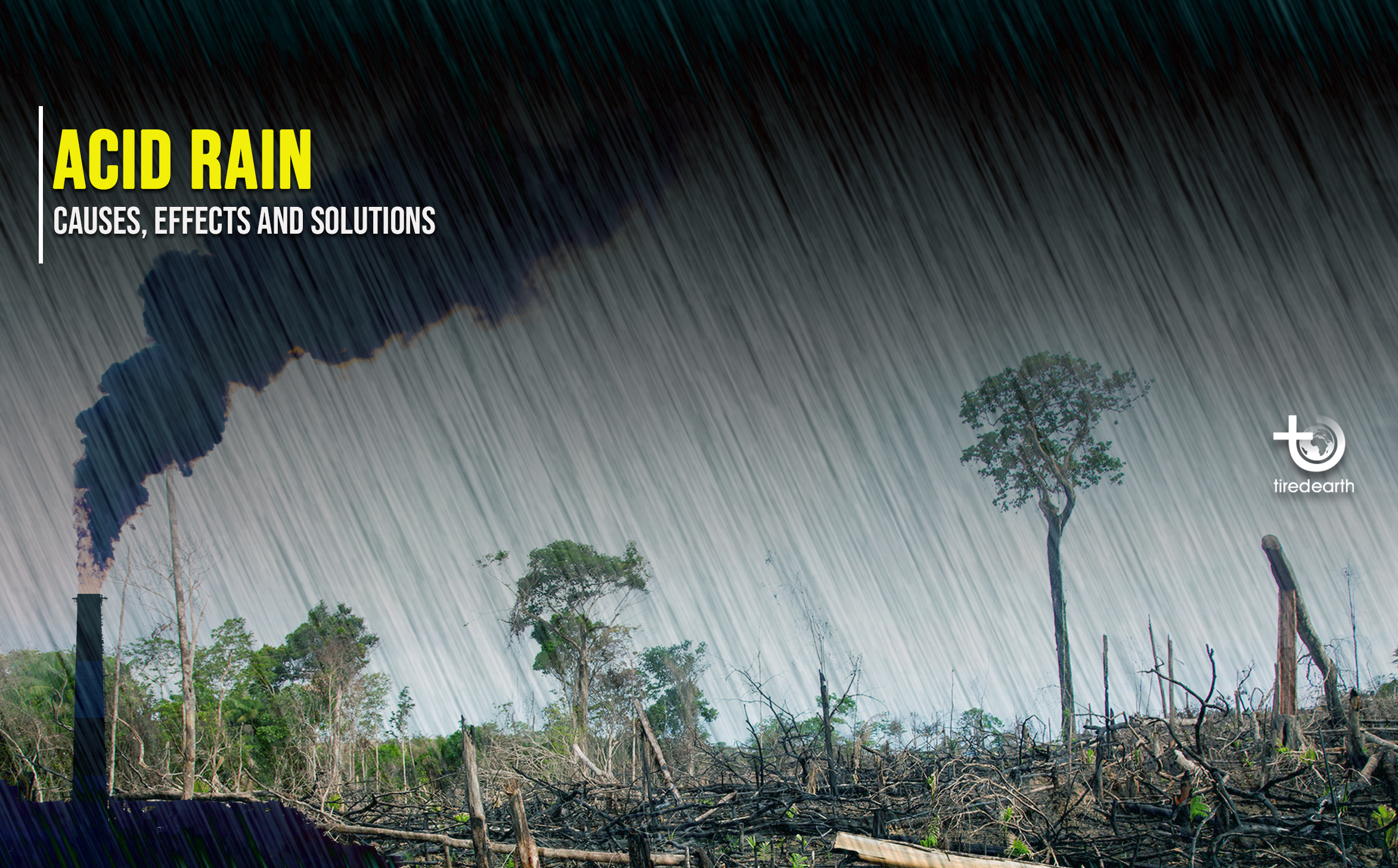 <p>What is acid rain?</p>