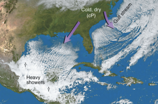<p>When an air mass moves over a large _____ __ _____, its properties can change.</p>