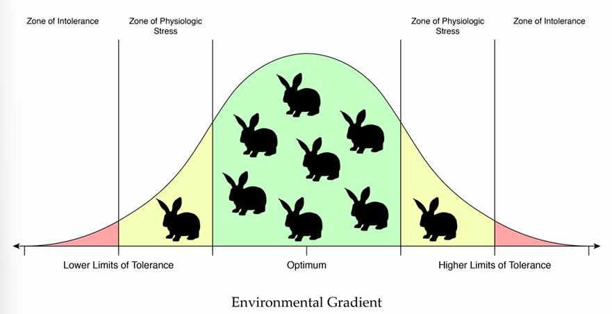 <p>the study of populations in relation to their environment</p><ul><li><p>including influences on population size, growth, age structure &amp; more</p><ul><li><p>range of tolerance </p></li></ul></li><li><p>measure </p><ul><li><p>abundance (#)</p></li><li><p>density</p></li><li><p>dispersion</p></li><li><p>population size </p></li></ul></li></ul><p></p>