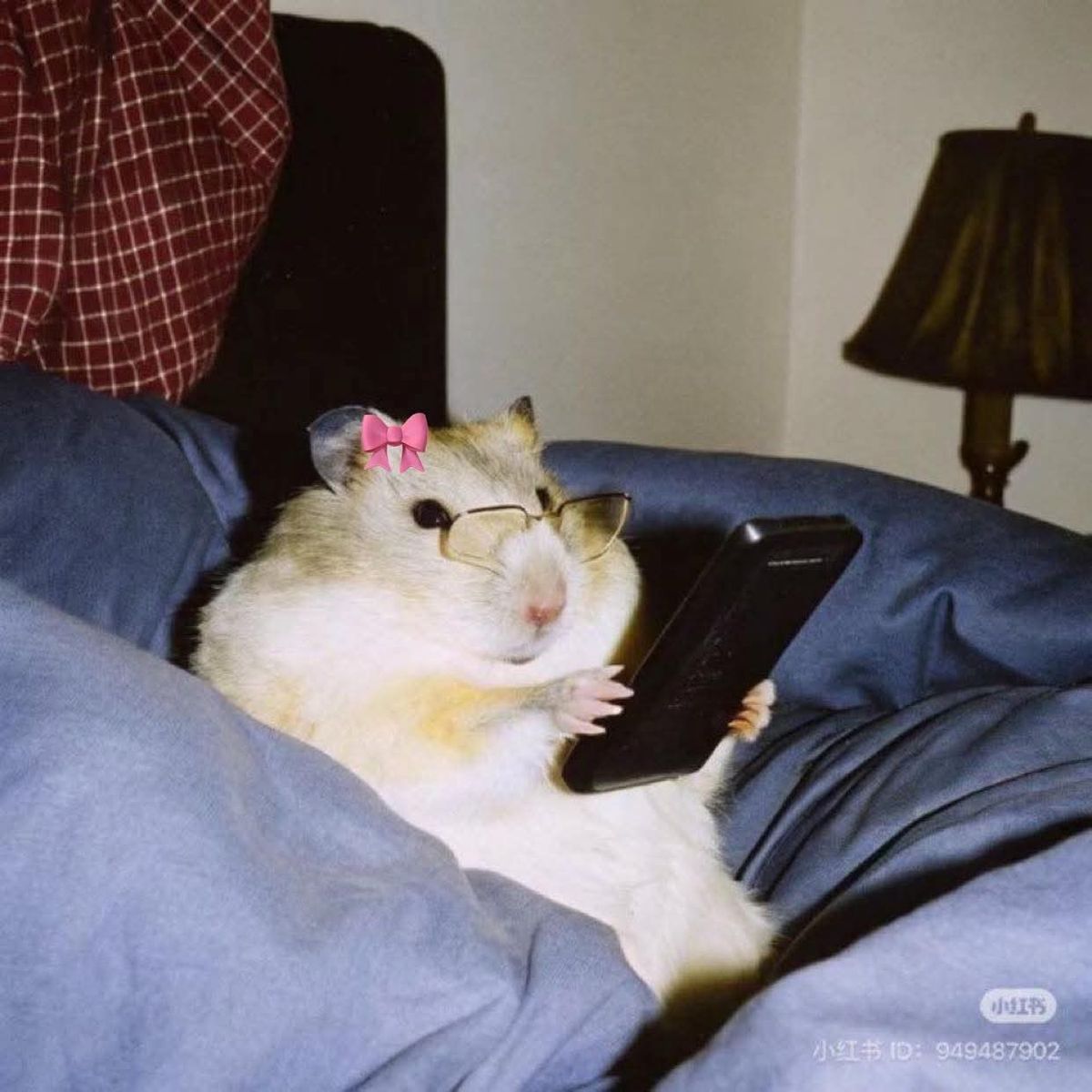 <p>I watch funny videos <strong>on </strong>TikTok.</p>