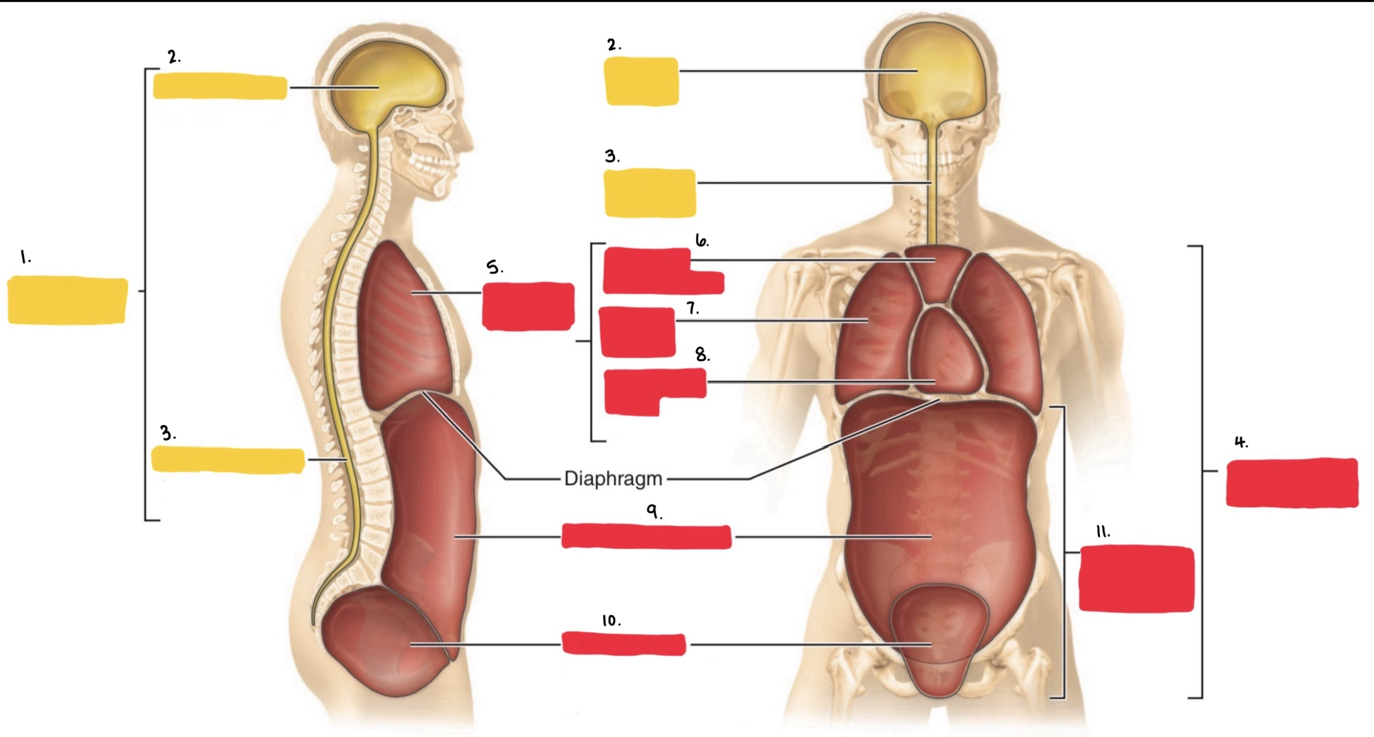 <p>4.</p>