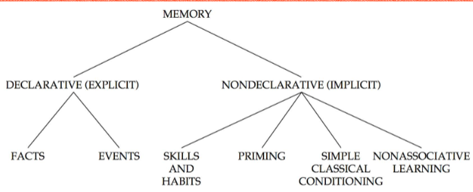 <p>long-term and short-term memory are separate systems, the memory system is fractioned into different subsystems based on what they store and how they work.</p>