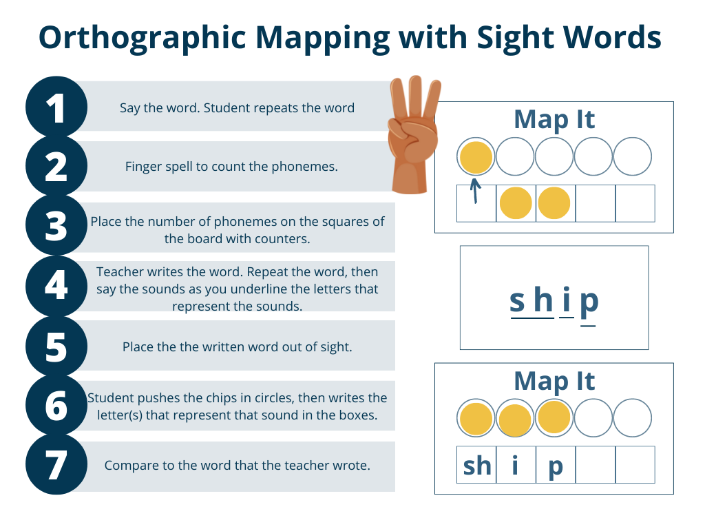 <p>connects letters and sounds in spelling and pronouncing words</p><ul><li><p>reading by sight, spell by memory, learn vocab </p></li></ul><p></p>