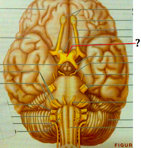 <p></p>