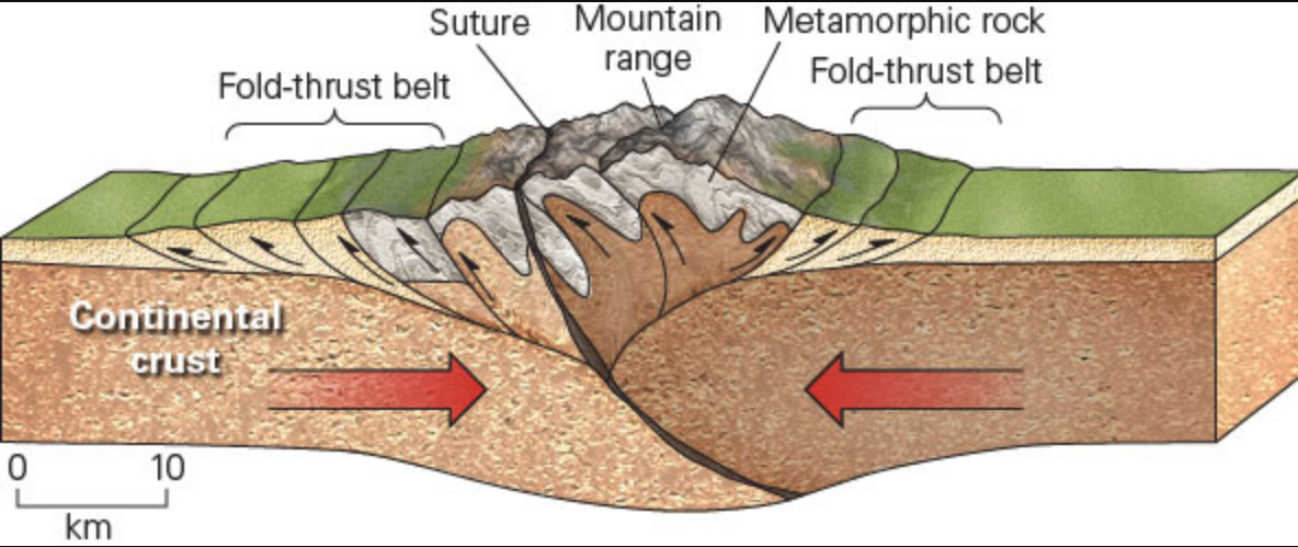 <p><span>The figure shows an orogeny. Which of the following statements BEST describes the geologic setting of this orogeny?</span></p>