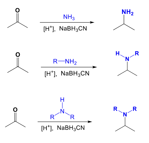 <ul><li><p>Used to recieve a reductive amination</p></li><li><p>Reaction occurs between a ketone/aldehyde and an amine/ammonia</p></li></ul><p></p><p>To get the product:</p><ul><li><p>Remove the carbonyl carbon oxygen atom with a double bond and connect the N atom in the amine/ammonia to the former carbonyl compound by a single bond</p></li></ul><img src="https://assets.knowt.com/user-attachments/8636185e-40a7-4b2b-8f77-ce4bd6d33aa0.png" data-width="25%" data-align="center"><p></p>