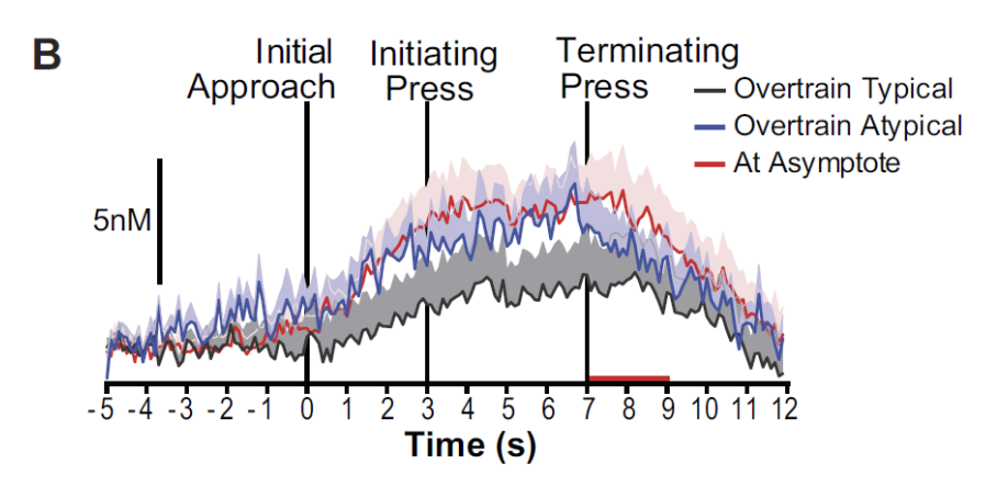 <ul><li><p>DA concentration increasing leading up to an action performed for reward</p></li></ul><div data-type="horizontalRule"><hr></div><ul><li><p></p></li></ul><p></p>