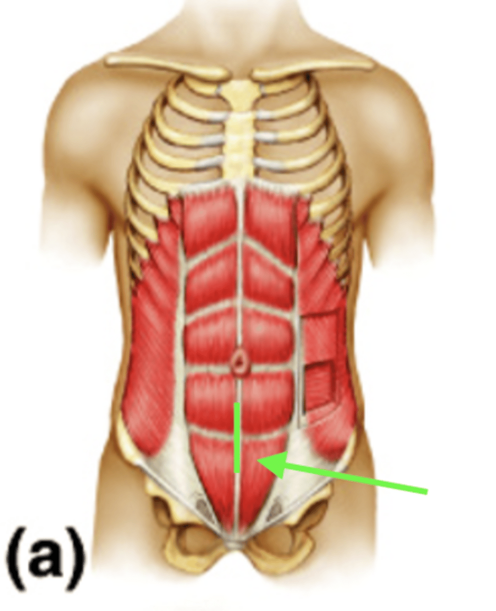 <p>what is this structure?</p>