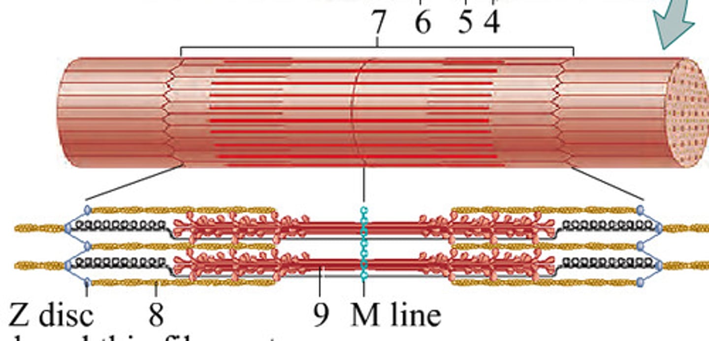 <p>type of structure?</p>