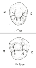 <p>is</p>