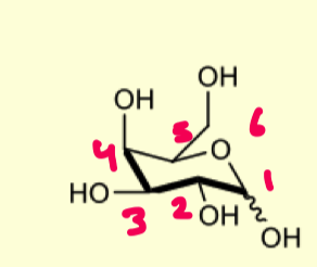 <p>describe the protection of D-galactopyranose with acetonides</p>
