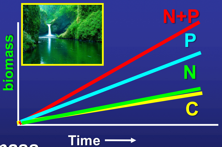 <p>what were the conditions and results of the Stockner and Shortreed experiment in PNW troughs?</p>