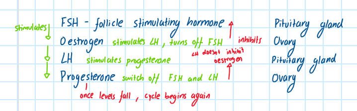 <ul><li><p>Follicle stimulating hormone (FSH):<br>- causes maturation of an egg in ovary, within a follicle <br>- produced in pituitary gland<br>- stimulates ovaries to produce oestrogen </p></li><li><p>Oestrogen: causes lining of uterus to grow again <br>- produced in ovaries<br>- secreted as a result of FSH <br>- stimulates production of LH and inhibits secretion of more FSH </p></li><li><p>Luteinising hormone (LH) <br>- produced in pituitary gland <br>- its release results in ovulation </p></li><li><p>progesterone<br>- produced in ovaries and secreted from egg follicle <br>- maintains lining of uterus<br>- supports a pregnancy if egg is fertilised<br>inhibits the release of both FSH and LH</p></li></ul><p></p>