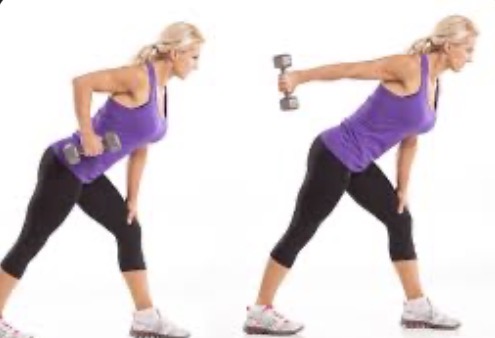 <p>Triceps kickback target muscle and joint action</p>