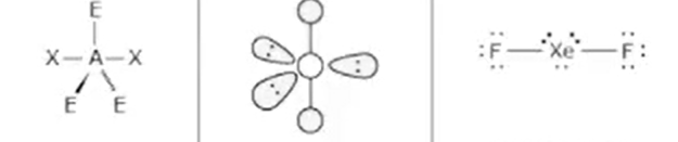 <p>Name: Linear and 180°</p>