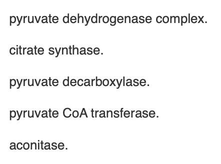 <p><span>Pyruvate is converted to acetyl CoA through the action of</span></p>