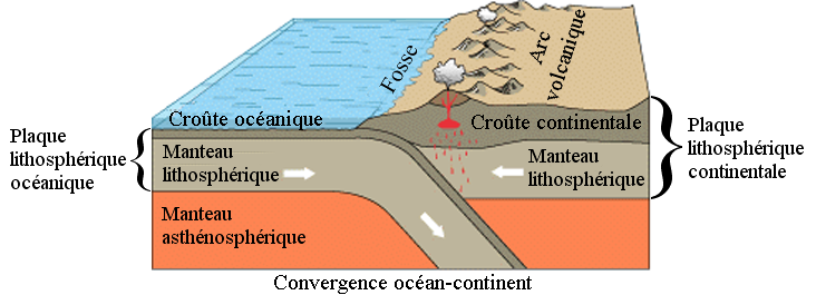 <p>Comment s’appelle ce phénomène où ces deux plaques se rencontrent?</p>