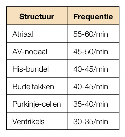 <ul><li><p>elke P-top (atriacontractie) voorafgaand aan QRS-complex</p></li><li><p>regelmatig ritme (kleine variatie met ademhaling mogelijk)</p></li><li><p>frequentie 60-100/min</p></li><li><p>max hoogte van P-top is 2,5mm in II en/of III</p></li><li><p>P-top is positief in II en aVF, bafisisch in V1</p></li></ul><p></p><p>escape ritmes in plaatje:</p><ul><li><p>hoe lager uit geleidingssysteem → hoe trager + breder het escape-ritme</p></li></ul><p></p>