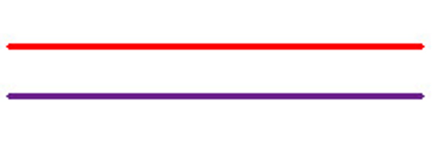 <p>two lines in the same plane that never intersect</p>