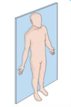 <p>Separates the front from the back</p>