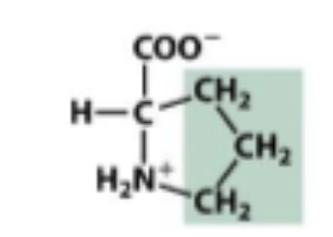 <p>Hydrophobic</p>