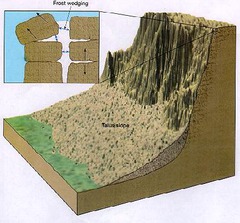 <p>The chemical and physical process that breaks down rocks and minerals into smaller particles.</p>