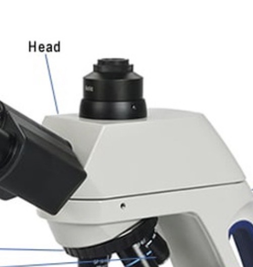 <p>The top part of the microscope, and it holds the viewing parts together.</p>