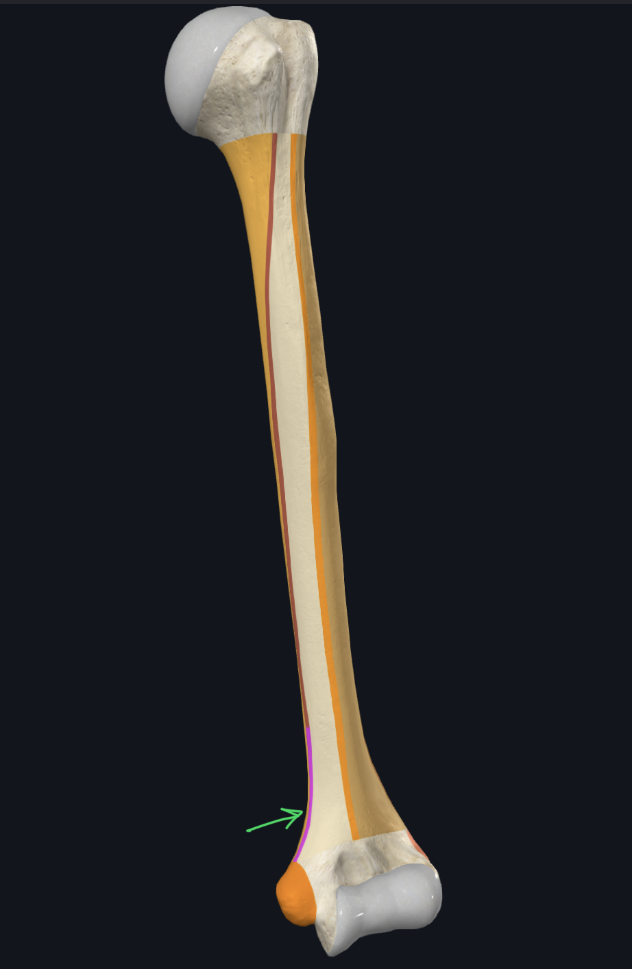 <p>What is the arrow pointing at?</p>
