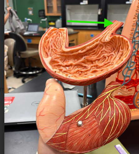 <p>What is the arrow pointing at?</p>