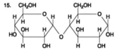 <p>What type of molecule is this?</p>