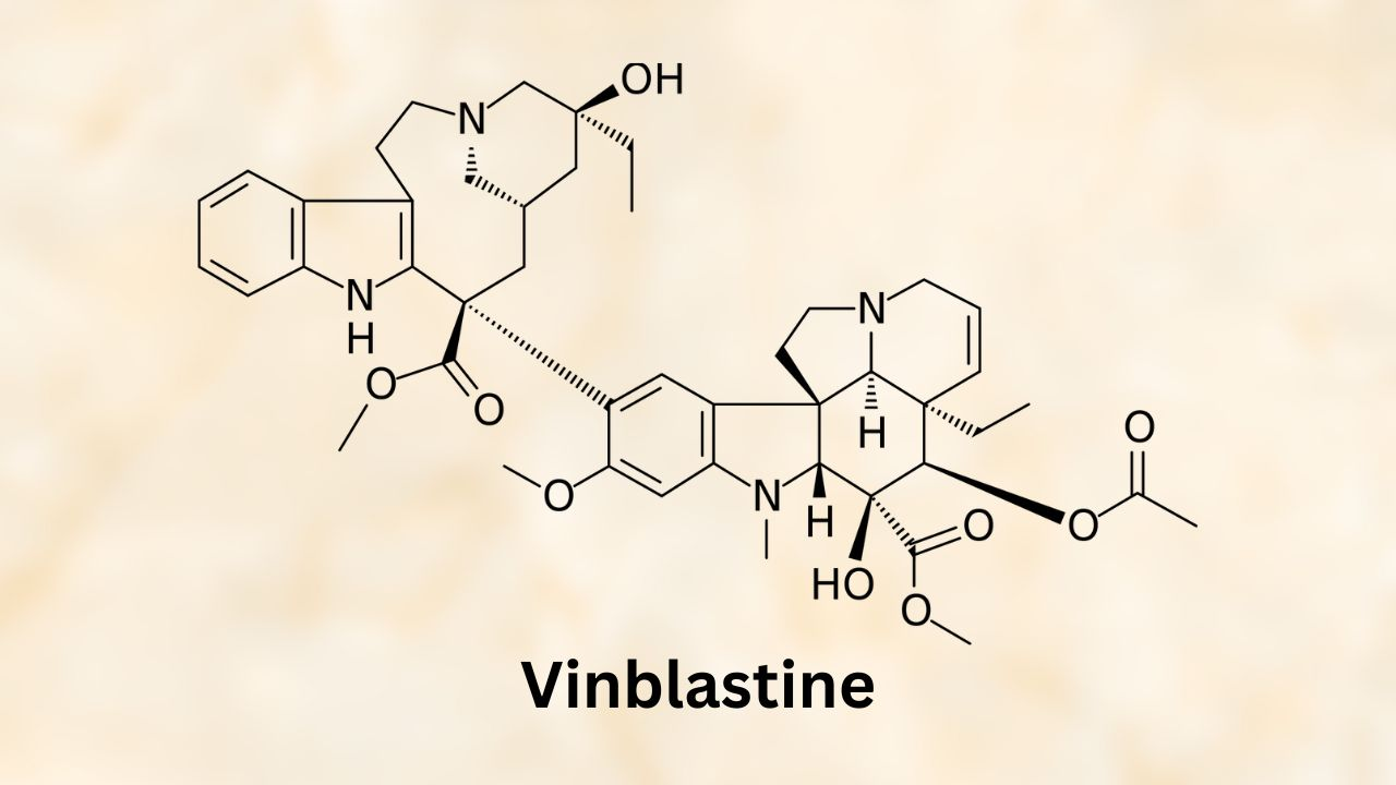<p>vinblastine</p>