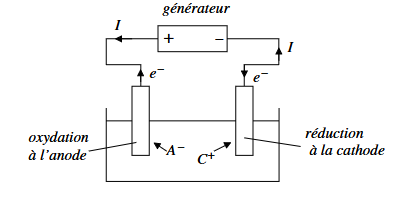 <ul><li><p>fonctionnement de la cellule électrochimique en récepteur</p></li><li><p>générateur extérieur impose la circulation du courant</p></li><li><p>observation d’une réaction d’oxydo-réduction forcée</p></li></ul><p></p>